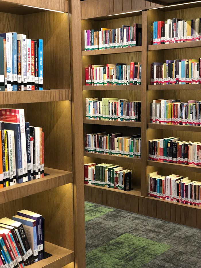 Neatly arranged books on wooden library shelves showcasing a diverse collection.